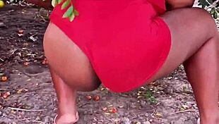 Evangelical neighbor picking fruits in public