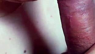 dominican bbw gives early morning blowjob to chubby amateur