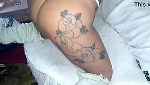 Sexo Pegado no Sofá com Moreno in a Wild Encounter