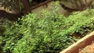 Crazy bitch twerks on landlord's bed whiles he's on vacation