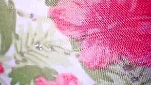 Mis amigos estaban cogiendo en los cuartos y me tuve que coger en el baño de una casa a la morrita enfiestada en una fiesta de compas