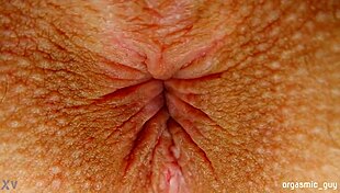 want to see this pulsating orgasm with anal contractions close up on the asshole?