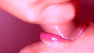 Intriguing Japanese story of a passionate baseball fan's adventures