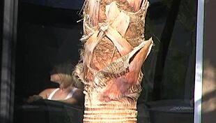 i'm fuckin' this blonde mom with her big tits bent over