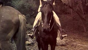 Dark Lantern Entertainment rolls out retro vibes with hairy action