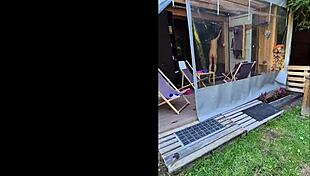 Wow, stunning babe with small waist shines in outdoor summer memory!