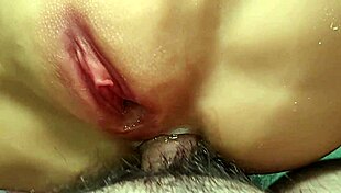 keep fucking her in the ass