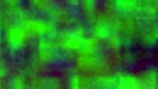 Ever tried anal with a Mexican prostitute from Puebla? she asks provocatively.