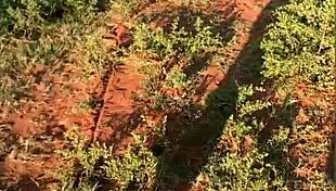 Teen Bent Over for Monster Cock Creampie