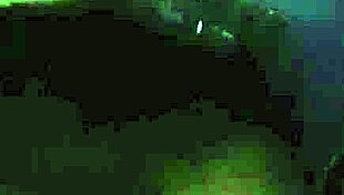 she asks, want to see this chilena amateur sucking eagerly for thirteen minutes?