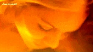 the best of laura vandervoort celebrity moments.