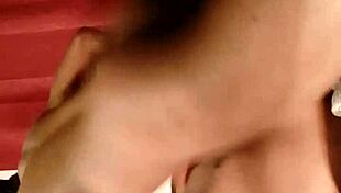 sundaydogood614 update 291 vid 20240704 024459 jul 04 2024