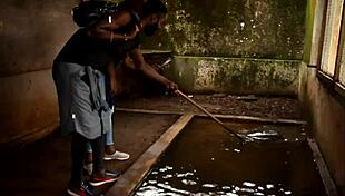 impressive sex scene in gogo adultery where colleague fucks wife then husband in black africa