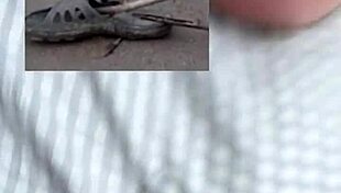 Great Fun Sex of Two Lovers Bent Over