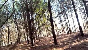 Clitlicker662 Update 23 Img 1265 Dec 12 2024