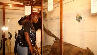 impressive sex scene in gogo adultery where colleague fucks wife then husband in black africa