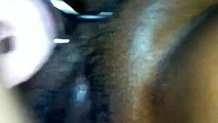 hidden ebony fantasy