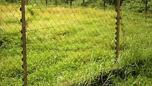 impressive sex scene in gogo adultery where colleague fucks wife then husband in black africa