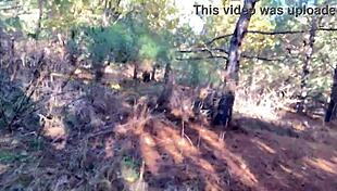 Clitlicker662 Update 23 Img 1265 Dec 12 2024