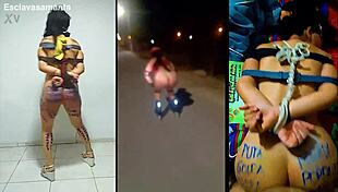 The story of training slut samantha in bondage and humiliation