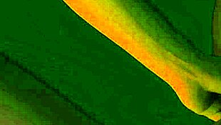 Bbw gets her feet worshipped and pussy licked in casual foreplay