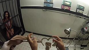 don't strip search my step sister alexa and maria!