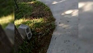 The story of a sensual teen with big tits and ass