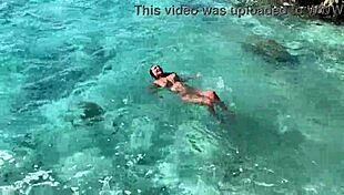 monika fox strips naked on beach bus tour