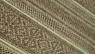 Planted On A Huge Dick And Made The Little 18+ Princess Cum In An Instant