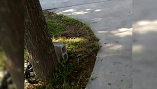 The story of a sensual teen with big tits and ass