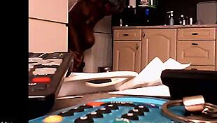 Watching the black neighbor next door, targeting her for voyeur fun in detail