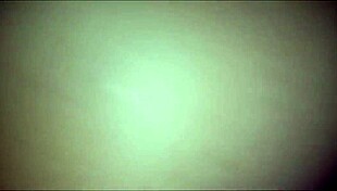 did my stepdaughter come to show off her little ass in shorts?