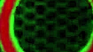 I-I just love licking those big pussy lips of the sexy milf alexis fawx during cunilingus and fucking