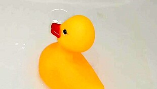 i'm playing in the bathroom with my rubber duck, fingering myself