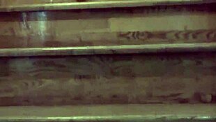 Zhang Xiaoyu Shows Off Hot Chinese Hairy Pussy in Softcore