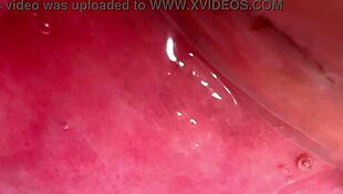 amateur pink pussy explored 172 days after losing virginity