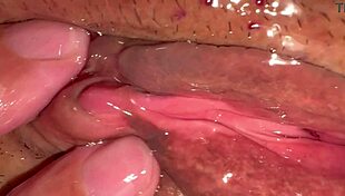 amateur pink pussy explored 172 days after losing virginity