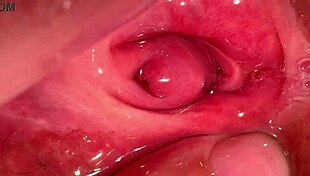 amateur pink pussy explored 172 days after losing virginity