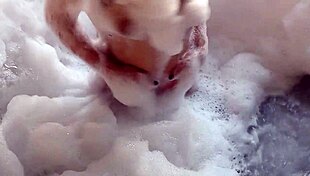 Spying on that busty Latina brunette bathing, then fucking her pear-shaped ass hard.