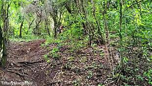 Brazilian Exhibitionist Fists Ass In Forest For Orgasm