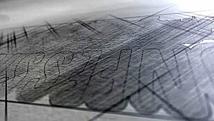 i watched blair williams stalk her driver to fuck him finnaly