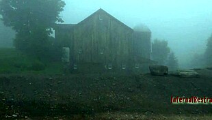 free sadomasochism videos feature tight pussy sucking and fucking