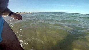 Uncle relaxes naked on the sunny beach