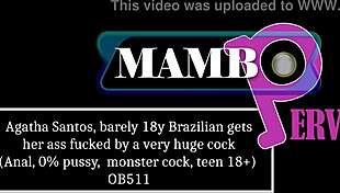 Brazilian Teen Agatha Santos Takes Huge Cock Anal with Gaping