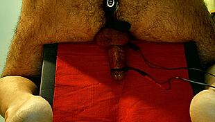 Amateur Woman Orgasms with Anal Toys in Homemade Chair Scene