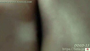 Check out this dog sniffing erotic scene with plump girl Aya and her anal fetish 😳