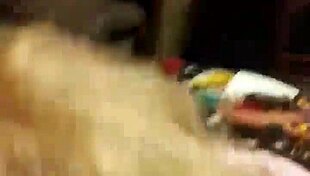 Cherrie bomb delivers detailed milf blowjob in pov