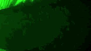 petite stepsis maya wolfe blows her stepbro