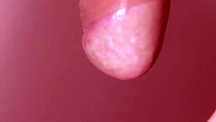 Japanese couple's sensual sex ends with facial cumshot close up