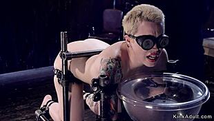 The blonde slave got tied up in doggy bondage, her master caning her roughly in a hardcore session